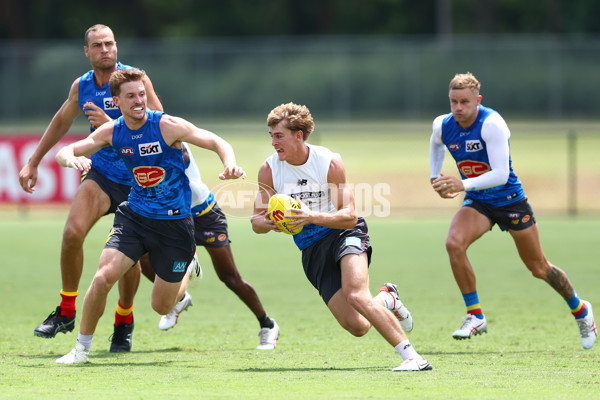 AFL 2024 Training - Gold Coast 270224 - A-46066645