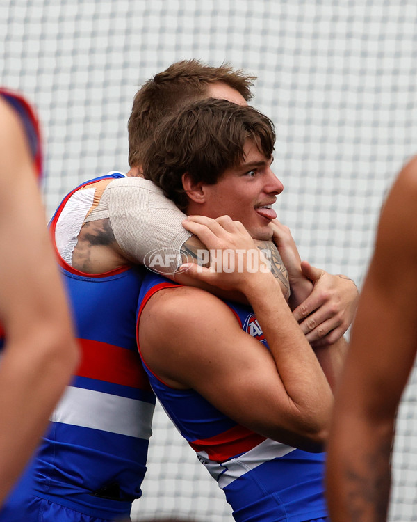 AFL 2024 Media - Western Bulldogs Team Photo Day - A-46080870