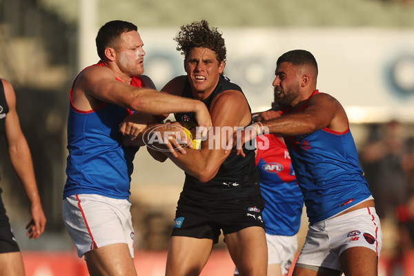 AFL 2024 AAMI Community Series - Carlton v Melbourne - A-46080933