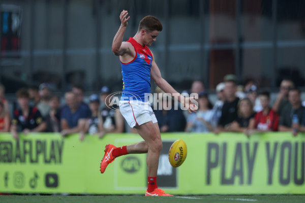 AFL 2024 AAMI Community Series - Carlton v Melbourne - A-46082011