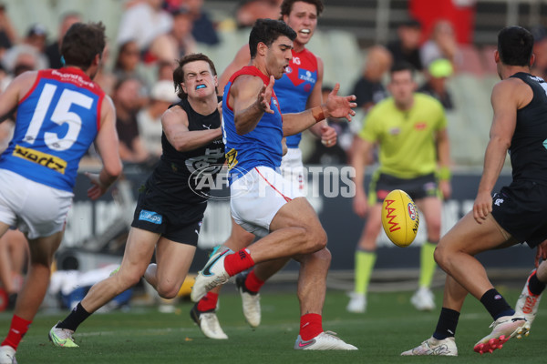 AFL 2024 AAMI Community Series - Carlton v Melbourne - A-46083311