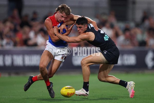 AFL 2024 AAMI Community Series - Carlton v Melbourne - A-46085096