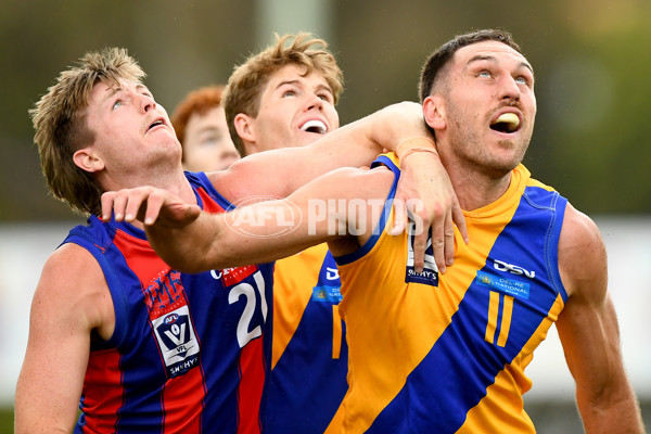 VFL 2024 Practice Match Carnival - Williamstown v Port Melbourne - A-46099718