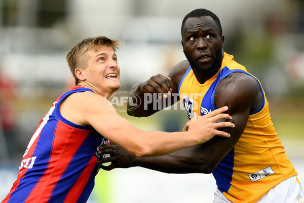 VFL 2024 Practice Match Carnival - Williamstown v Port Melbourne - A-46099723