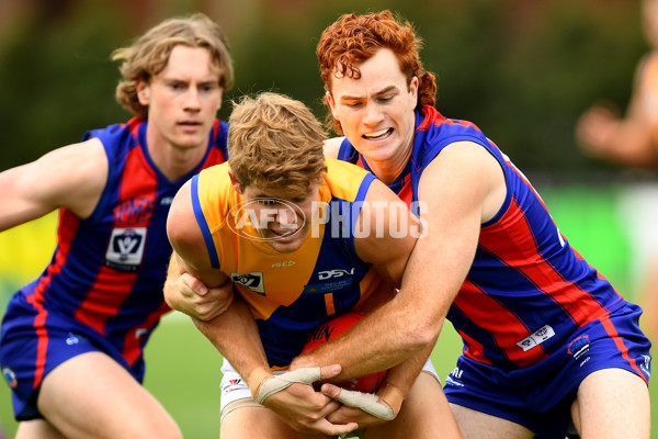 VFL 2024 Practice Match Carnival - Williamstown v Port Melbourne - A-46099730