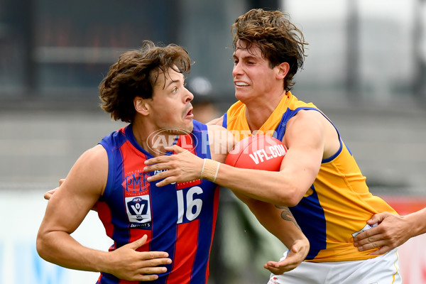 VFL 2024 Practice Match Carnival - Williamstown v Port Melbourne - A-46099731