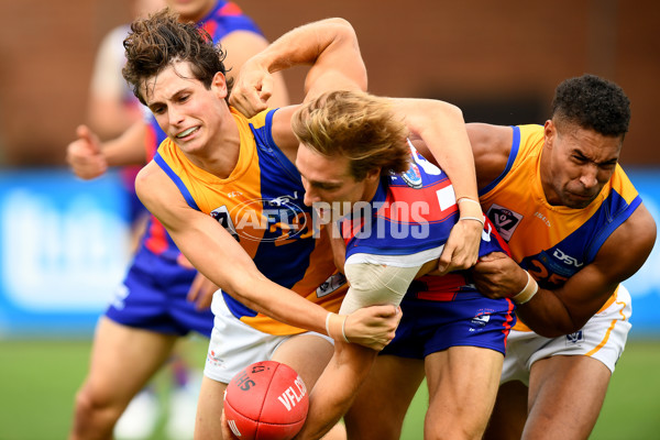 VFL 2024 Practice Match Carnival - Williamstown v Port Melbourne - A-46101178