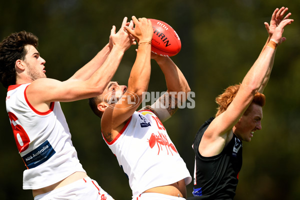 VFL 2024 Practice Match Carnival - Frankston v Northern Bullants - A-46101240