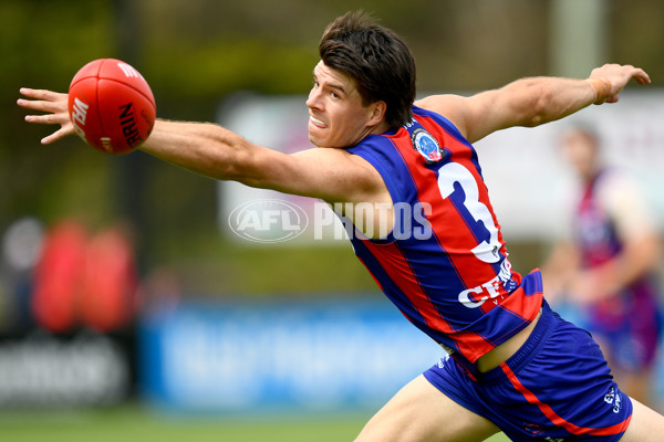 VFL 2024 Practice Match Carnival - Williamstown v Port Melbourne - A-46102671