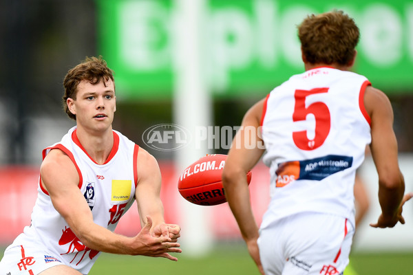 VFL 2024 Practice Match Carnival - Frankston v Northern Bullants - A-46102680