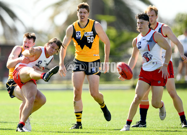 VFL 2024 Practice Match Carnival - Werribee v Coburg - A-46102762