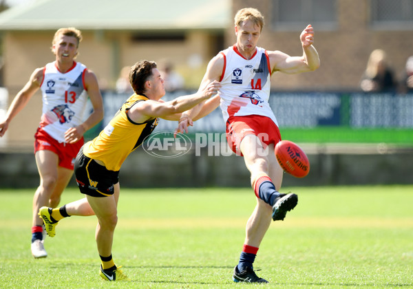 VFL 2024 Practice Match Carnival - Werribee v Coburg - A-46104130