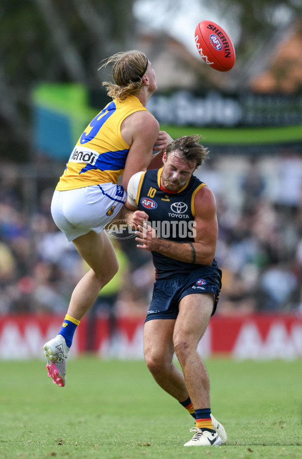 AFL 2024 AAMI Community Series - Adelaide v West Coast - A-46104144