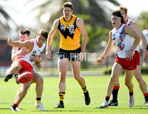 VFL 2024 Practice Match Carnival - Werribee v Coburg - A-46104149