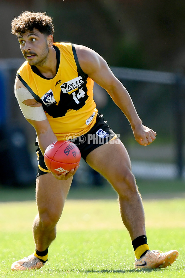 VFL 2024 Practice Match Carnival - Werribee v Coburg - A-46104163