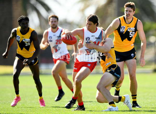 VFL 2024 Practice Match Carnival - Werribee v Coburg - A-46105763