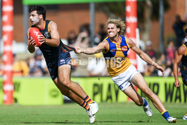 AFL 2024 AAMI Community Series - Adelaide v West Coast - A-46105768