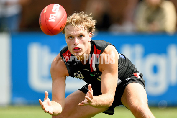 VFL 2024 Practice Match Carnival - Frankston v Northern Bullants - A-46105780