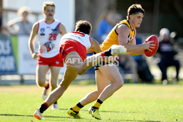 VFL 2024 Practice Match Carnival - Werribee v Coburg - A-46107020