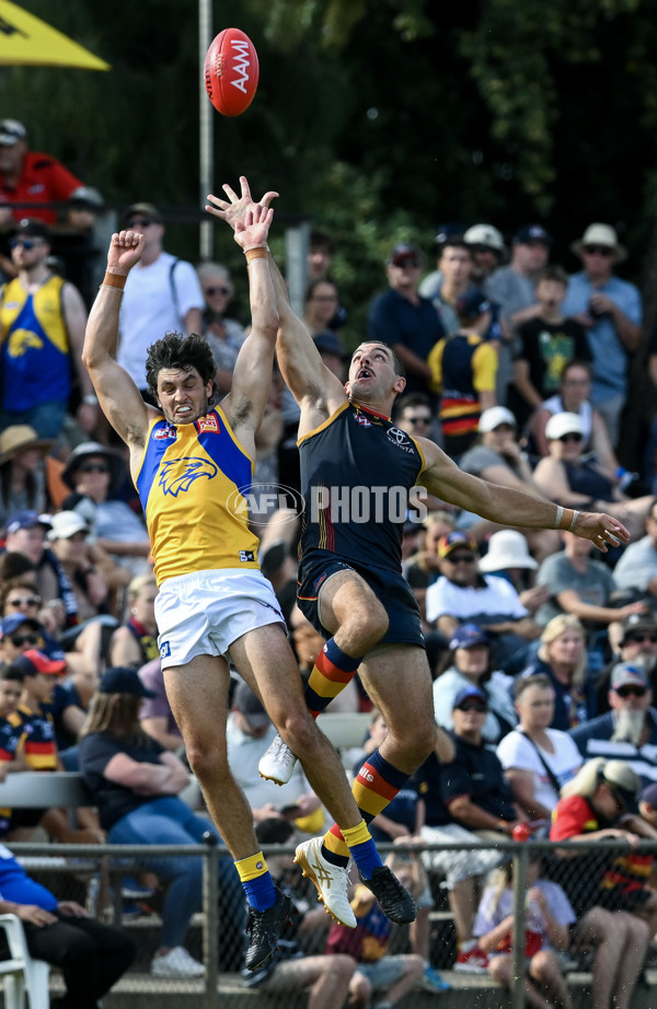 AFL 2024 AAMI Community Series - Adelaide v West Coast - A-46108773