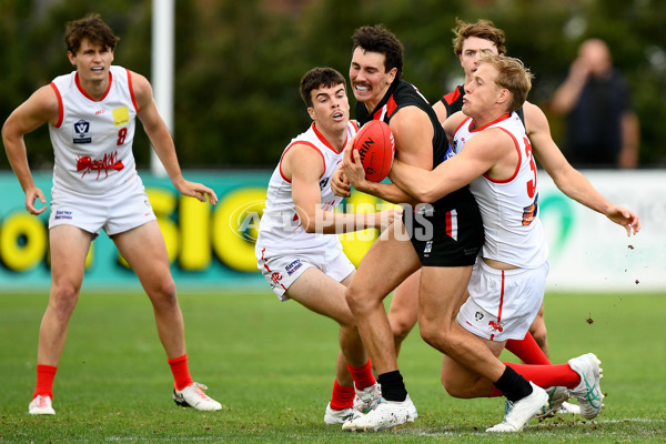 VFL 2024 Practice Match Carnival - Frankston v Northern Bullants - A-46111975