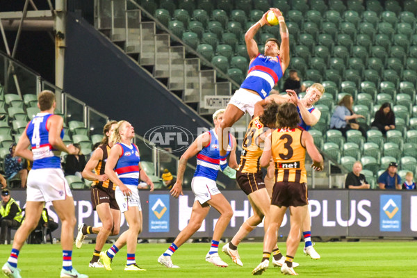 AFL 2024 AAMI Community Series - Hawthorn v Western Bulldogs - A-46111986