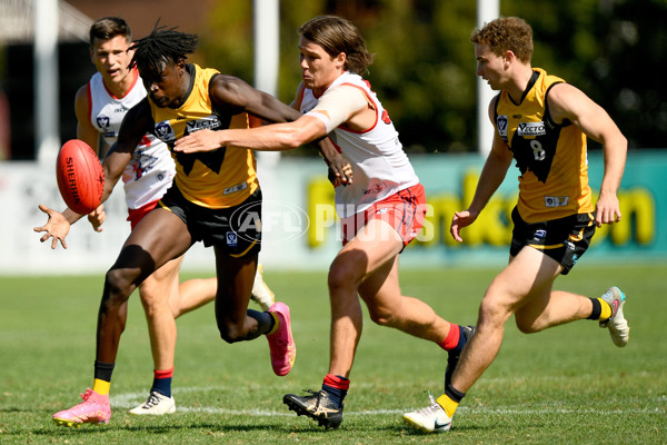 VFL 2024 Practice Match Carnival - Werribee v Coburg - A-46112014