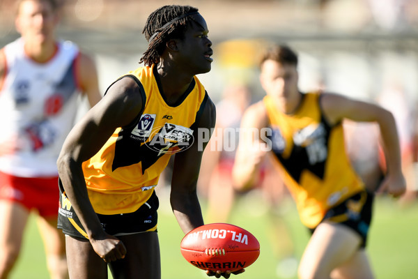 VFL 2024 Practice Match Carnival - Werribee v Coburg - A-46112015