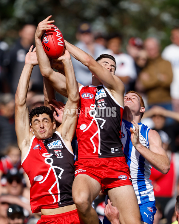 AFL 2024 AAMI Community Series - St Kilda v North Melbourne - A-46115991