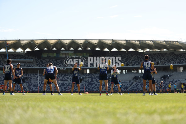 AFL 2024 Training - Geelong 060324 - A-46311294