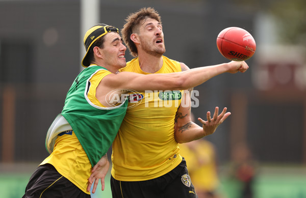 AFL 2024 Training - Richmond 070324 - A-46329170