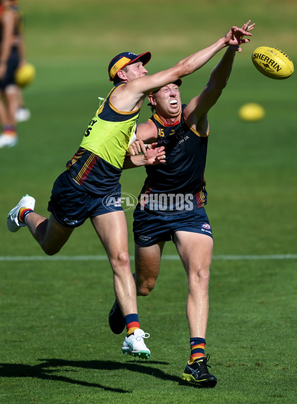 AFL 2024 Training - Adelaide 080324 - A-46378783