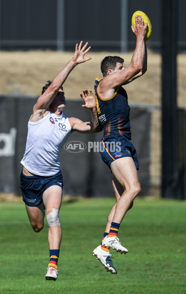 AFL 2024 Training - Adelaide 080324 - A-46378793