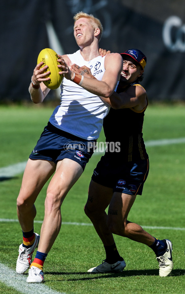 AFL 2024 Training - Adelaide 080324 - A-46379583