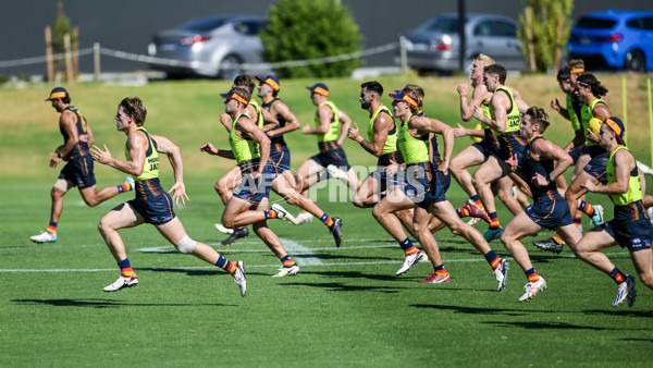 AFL 2024 Training - Adelaide 080324 - A-46381726