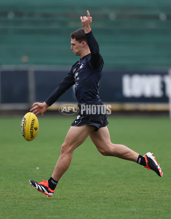 AFL 2024 Training - Carlton 130324 - A-46424137