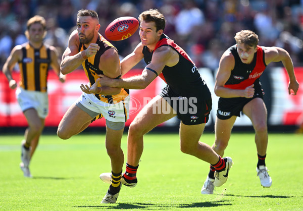 AFL 2024 Round 01 - Essendon v Hawthorn - A-46505221