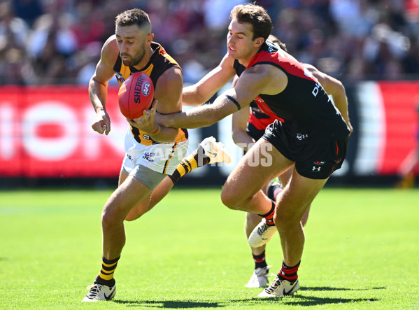 AFL 2024 Round 01 - Essendon v Hawthorn - A-46505222