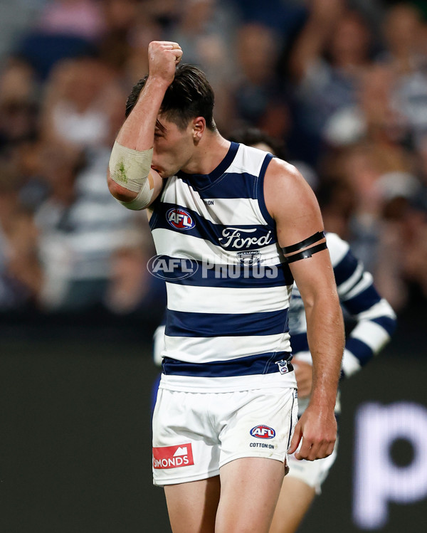 AFL 2024 Round 01 - Geelong v St Kilda - A-46527347