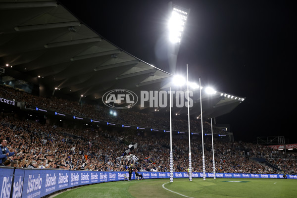 AFL 2024 Round 01 - Geelong v St Kilda - A-46527350