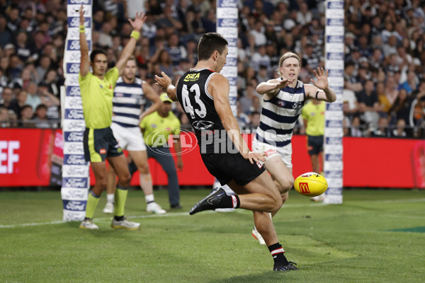 AFL 2024 Round 01 - Geelong v St Kilda - A-46529918