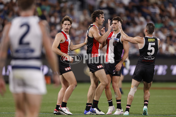AFL 2024 Round 01 - Geelong v St Kilda - A-46529940