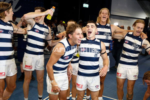 AFL 2024 Round 01 - Geelong v St Kilda - A-46532345