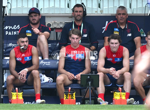 AFL 2024 Round 01 - Melbourne v Western Bulldogs - A-46545378