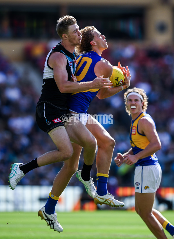 AFL 2024 Round 01 - Port Adelaide v West Coast - A-46554247