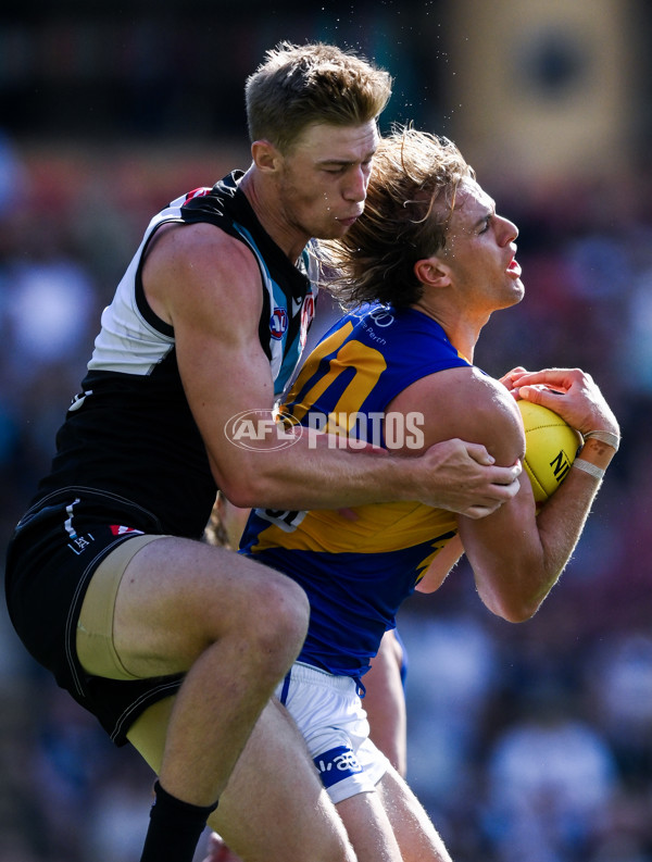 AFL 2024 Round 01 - Port Adelaide v West Coast - A-46554249