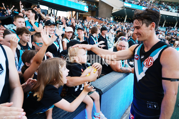 AFL 2024 Round 01 - Port Adelaide v West Coast - A-46556234