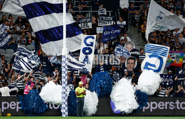 AFL 2024 Round 01 - Geelong v St Kilda - A-46560734