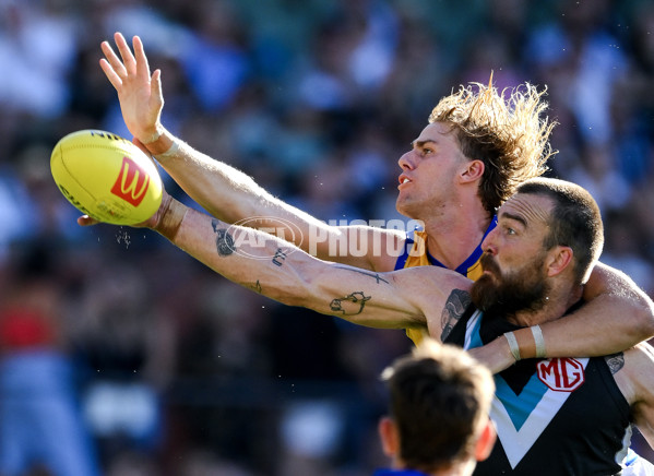 AFL 2024 Round 01 - Port Adelaide v West Coast - A-46564265