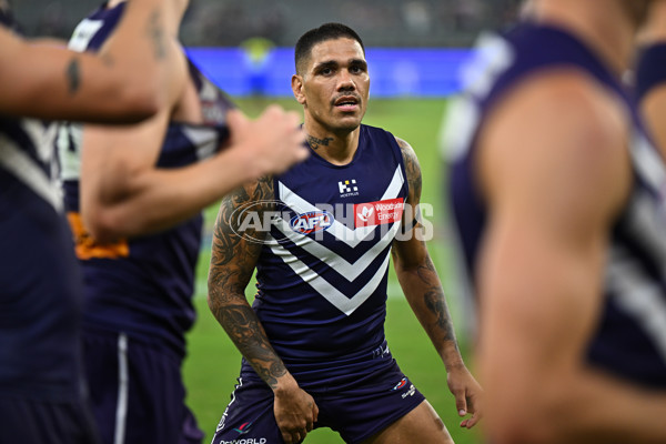 AFL 2024 Round 01 - Fremantle v Brisbane - A-46566332